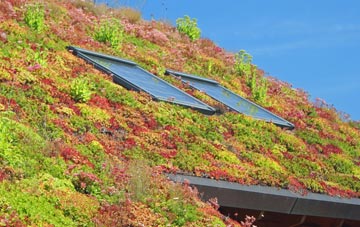 Stoke St Gregory living roof systems